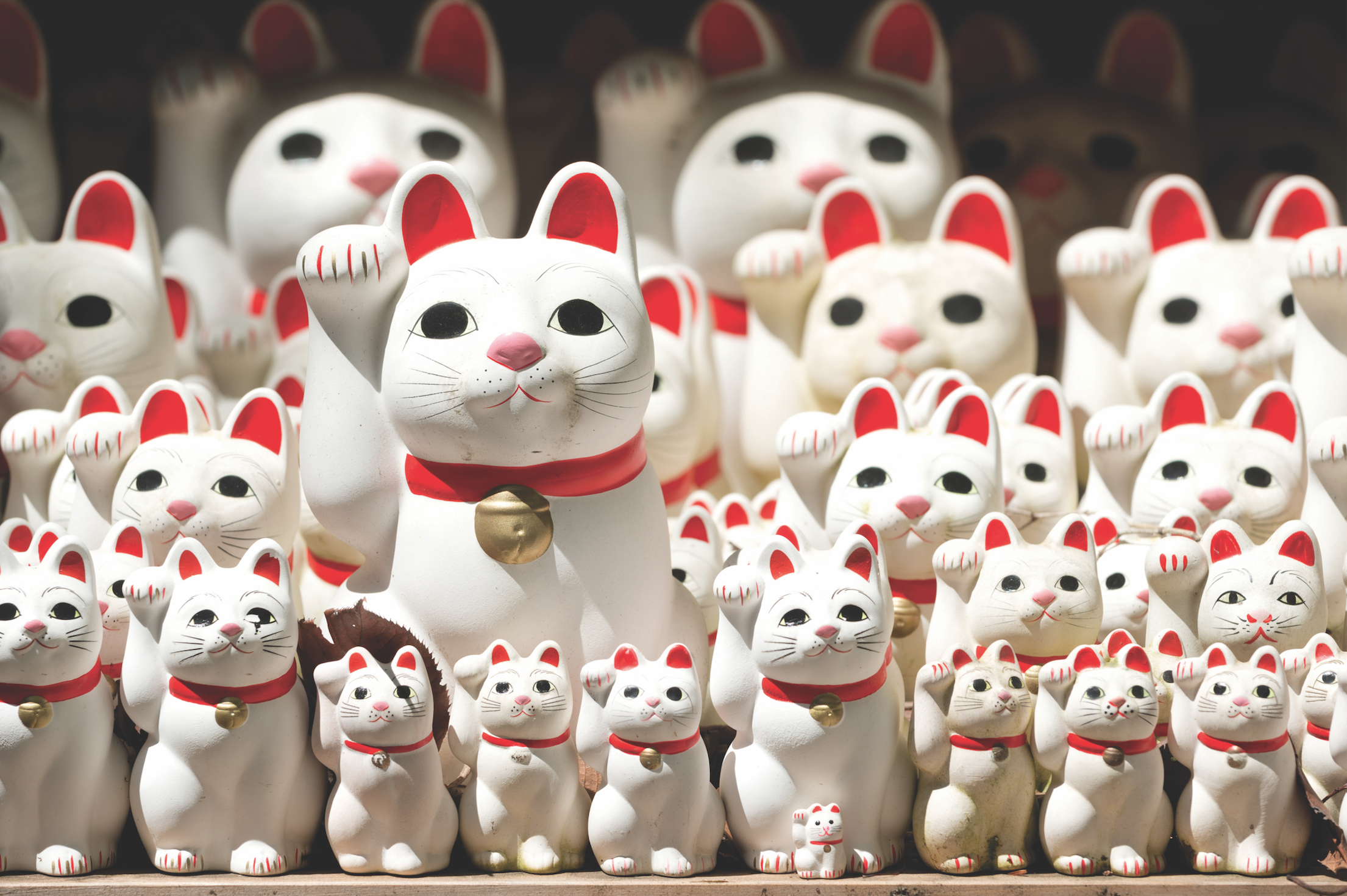 Staying competitive in China's unique business environment